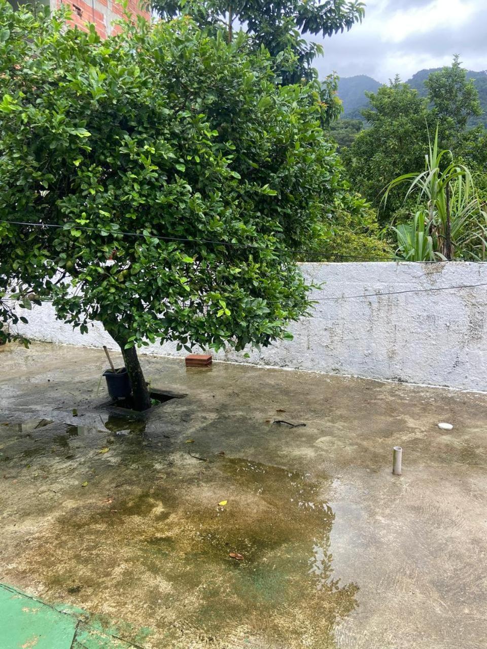 Cachoeira Da Vovo * Ubatuba